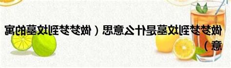 夢到在墳墓