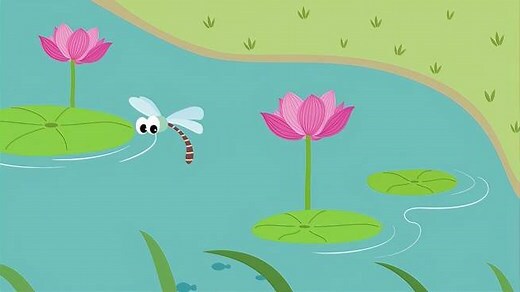 蜻蜓点水的原因