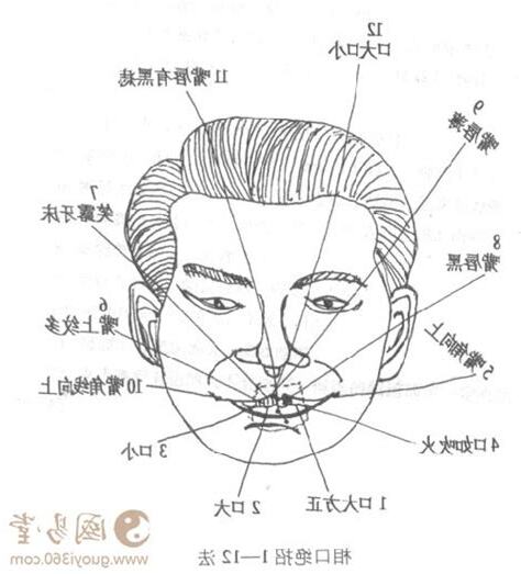 嘴唇看相
