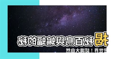 百鳥與蝙蝠