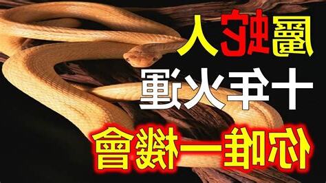 大運沖流年