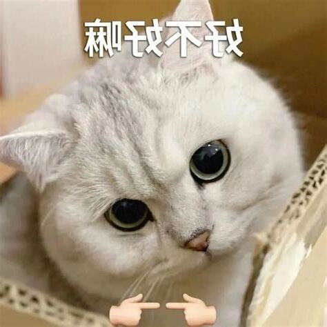 好不好嘛
