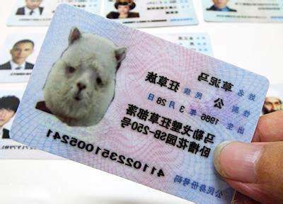 身份證靈動數