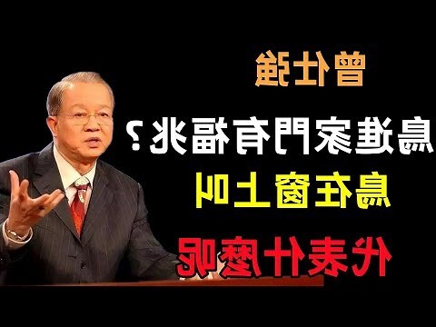 鴿子飛來家裡號碼