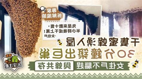 驅趕蜜蜂築巢