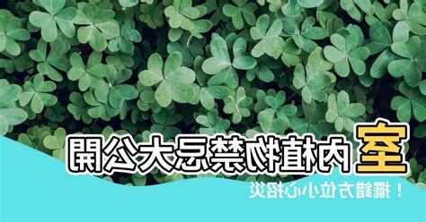 房間植物禁忌