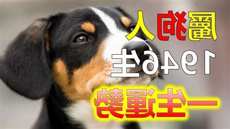 1946生肖