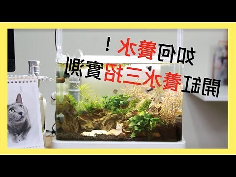 空魚缸