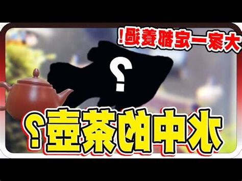 茶壺魚壽命