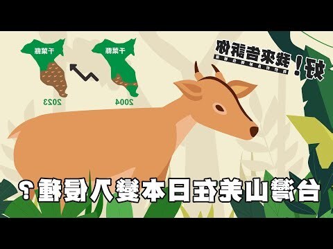 什麼山