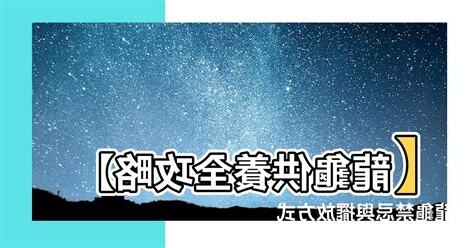 龍龜供養