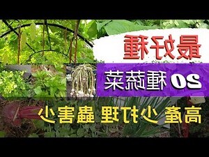 北部適合種什麼水果