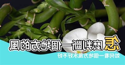 如何轉地氣