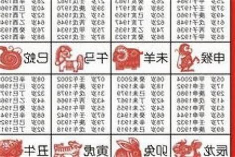 八字生肖