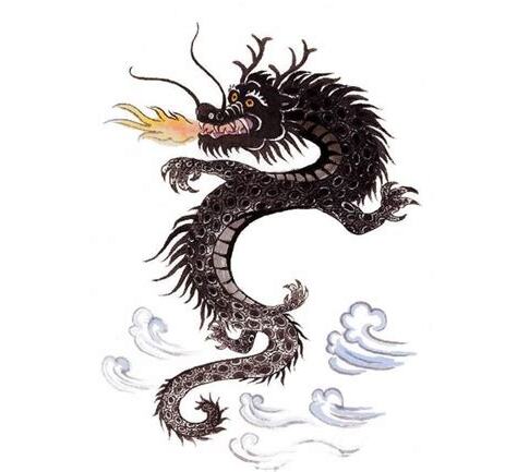 土龍生肖
