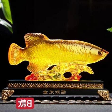 招財的魚