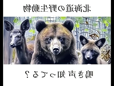 五行代表動物