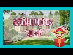 室外植物风水