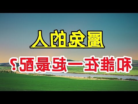 生肖兔配對