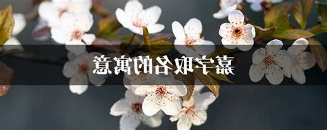 嘉字取名