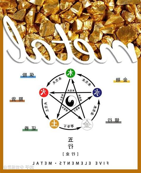 属金的人不适合什么行业