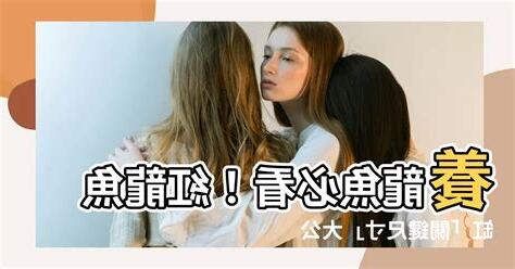 紅龍魚缸大小