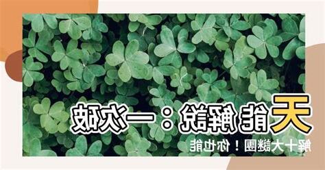天能解説