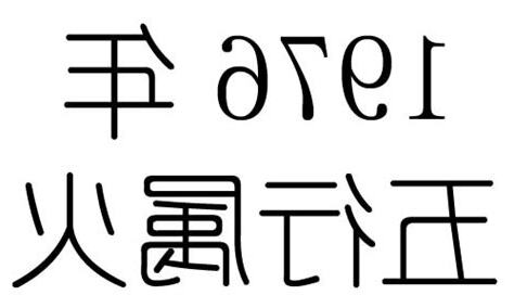 1976年五行