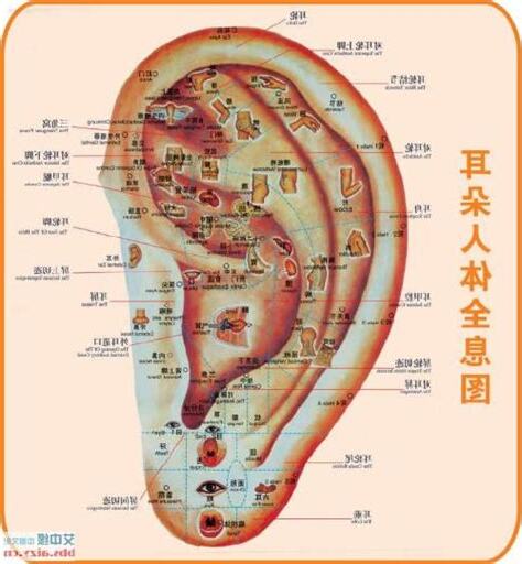 耳門面相
