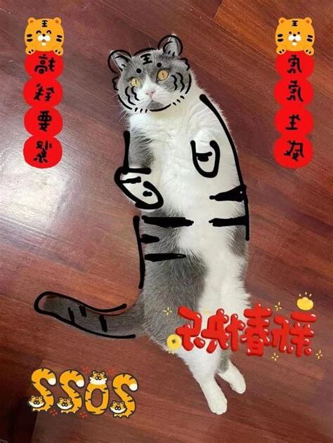 照貓畫虎意思