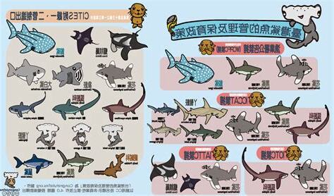鯊魚品種鯊魚種類