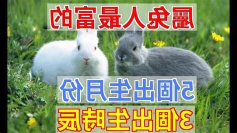 屬兔出生時辰