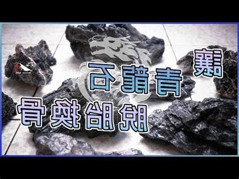 青龍石養魚