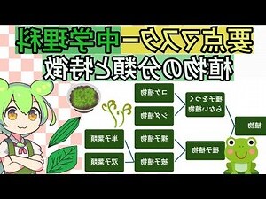 藤蔓植物種類