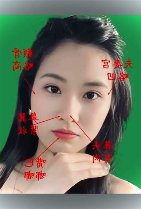 鼻頭肉多面相