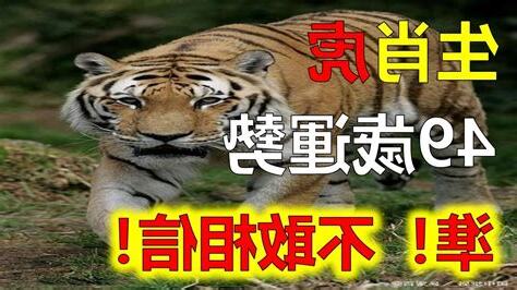 49歲運勢