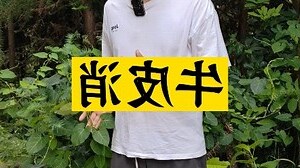牛皮消功效
