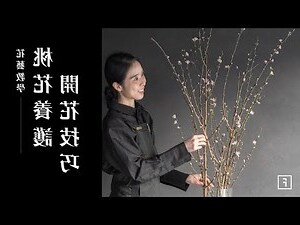 招桃花要放幾朵花