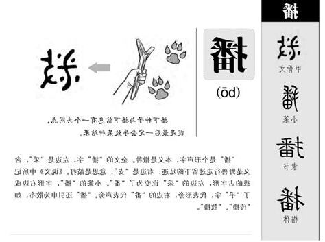 播的意思