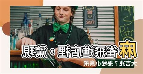 麻雀飛進店裡