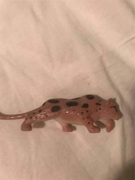 看到死老鼠是幾號