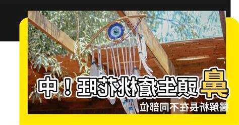 鼻頭生瘡桃花