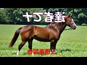 辰意思