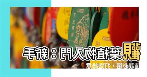 觀葉植物入門