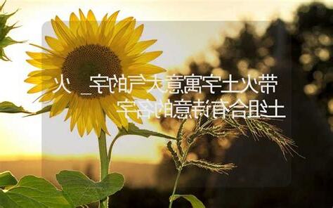 火土名字