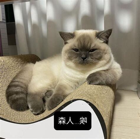 牡丹男