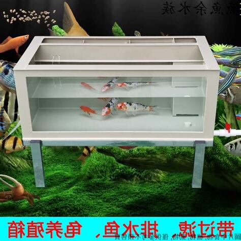 錦鯉魚缸
