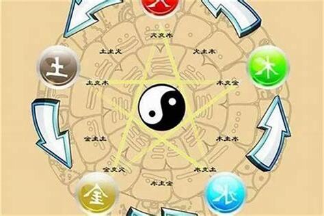 属木的工作