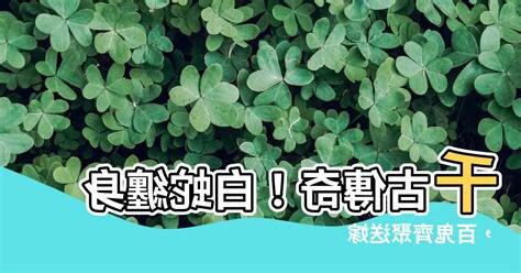白蛇纏身百鬼送嫁銀花火樹
