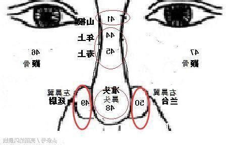 旺財鼻